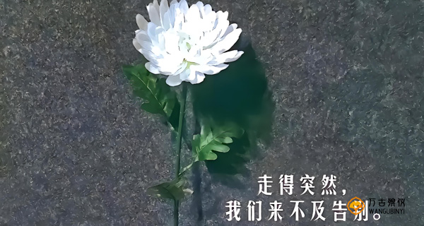 万古生命礼仪：她的援手助我跨越千山万水无憾！