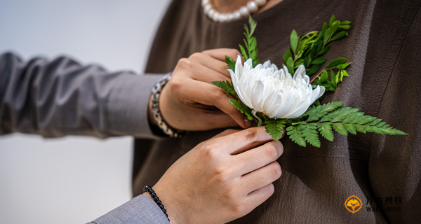 大连殡葬服务费用详解：去世后全程花费指南